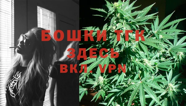 хмурый Александровское